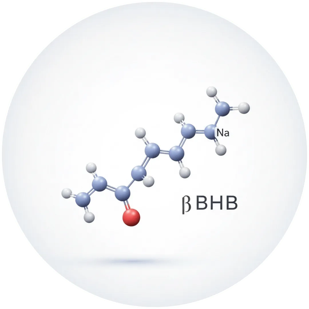 Sodium BHB – Fitness Keto ingredient