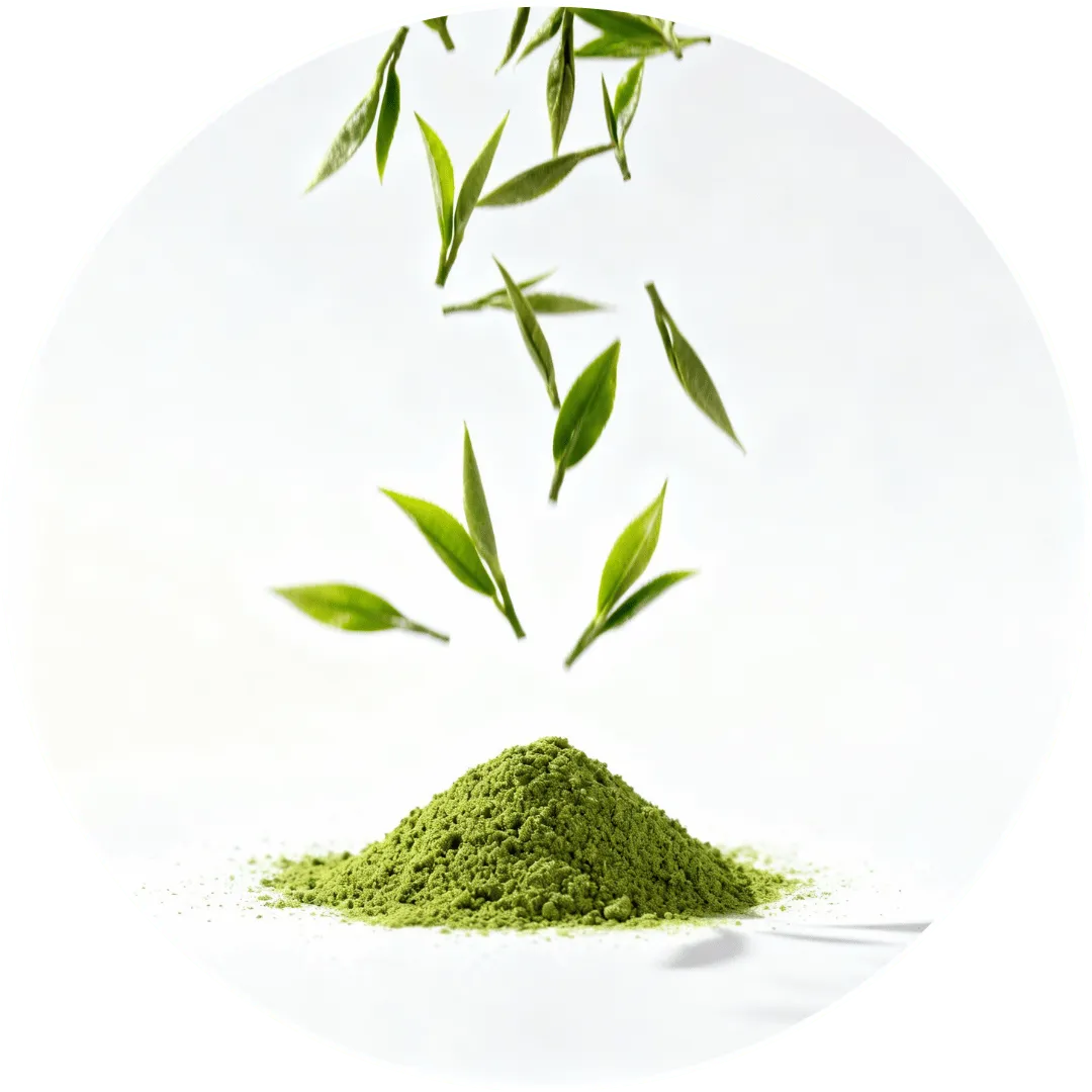 Green Tea Leaf Extract – Fitness Keto ingredient
